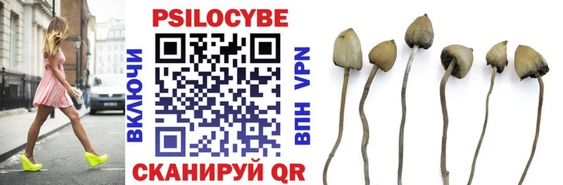 Галлюциногенные грибы GOLDEN TEACHER Купить закладки Гагарин